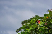 D889452E-5D06-4E95-B678-D207DA88D6C9