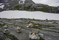 PD_00815