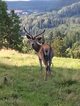 IMG_20200809_173851