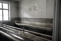image_6487327
