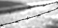image_6487327