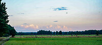 PD_01782