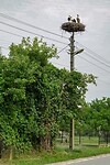 PD_01715