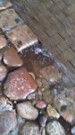Regen in Vilnius