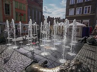 PD_02337
