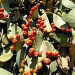 IMG_20211229_165547_929