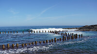 DSC08859
