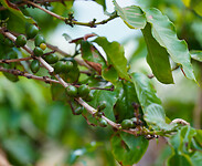 DSC00627