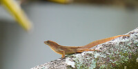 DSC00709