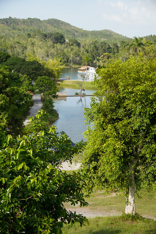 DSC00737