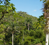 DSC00684