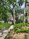 IMG_20230511_151359