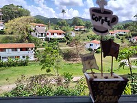 IMG_20230511_112856