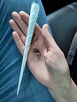 IMG_20230512_101538