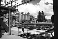 DSC00946