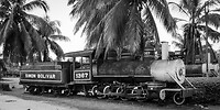 DSC00959