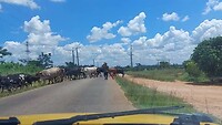 On the road 1