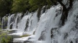 DSC07486