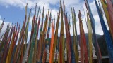 DSC07560