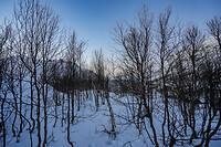 DSC00769