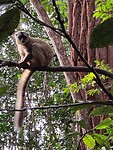 IMG_20240504_153404