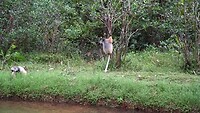 Jump 2