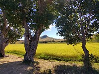 IMG_20240506_110507