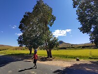 IMG_20240506_110430