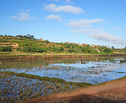 DSC01342