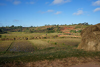 DSC01341