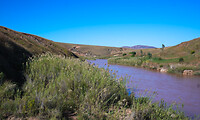 DSC01355