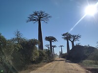 IMG_20240507_081926