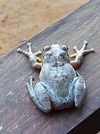 IMG-20240508-WA0015