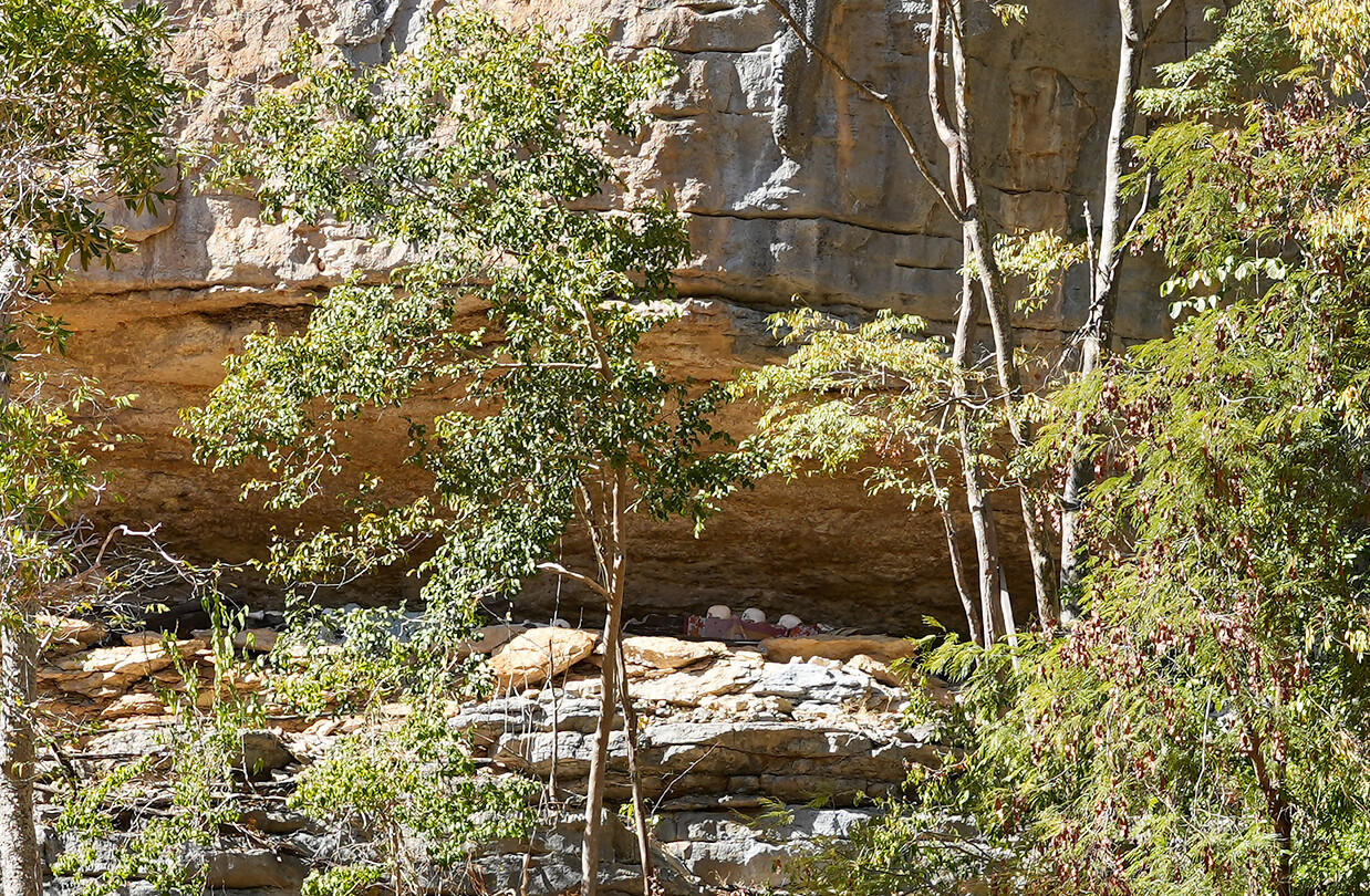 DSC01520