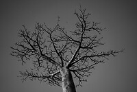 DSC01596