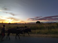IMG_20240511_172636