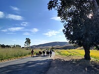 IMG_20240511_155754