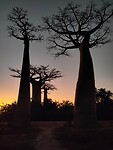 IMG_20240510_175854