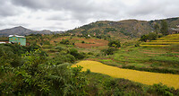 DSC01622