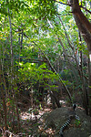 DSC01908