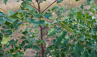 DSC01880
