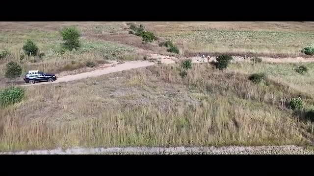 On the move