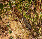 DSC02023