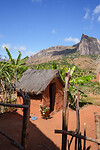 DSC02011