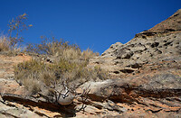 DSC02099