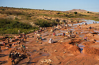 DSC02175