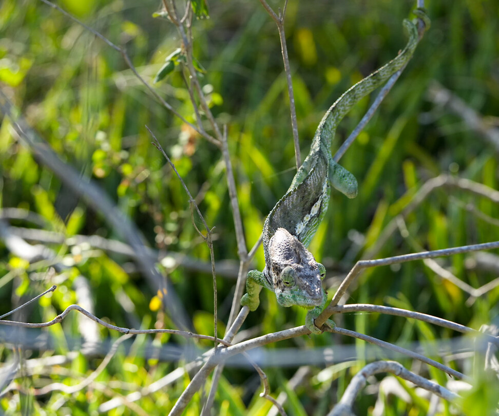 DSC02206