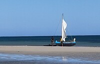 IMG_20240520_085240~2
