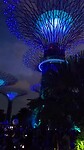 Gardens by the bay at night