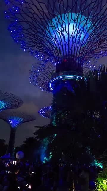 Gardens by the bay at night